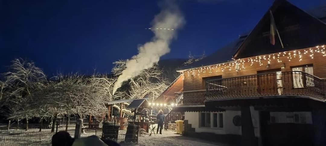 Pensiunea Casa Butnarului Geoagiu de Sus Exterior photo