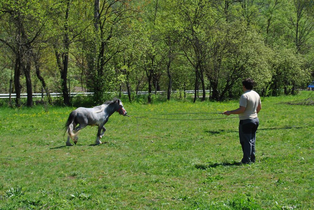 Pensiunea Casa Butnarului Geoagiu de Sus Exterior photo