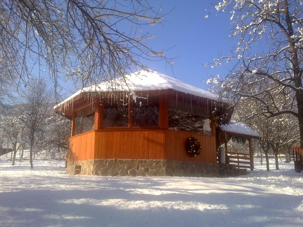 Pensiunea Casa Butnarului Geoagiu de Sus Exterior photo