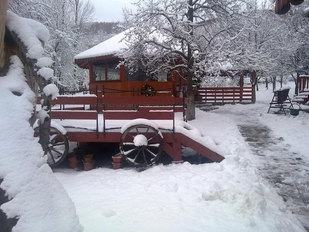 Pensiunea Casa Butnarului Geoagiu de Sus Exterior photo